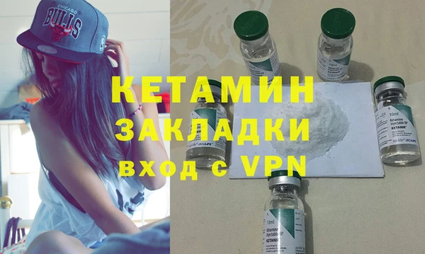 дживик Няндома
