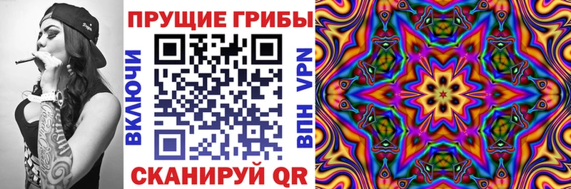 Галлюциногенные грибы прущие грибы  Купить где  Макаров 